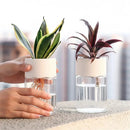 Mini Vaso de Decoração de Flores Hidropônico