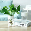 Mini Vaso de Decoração de Flores Hidropônico